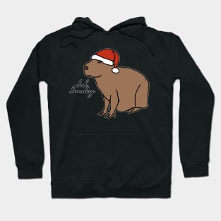 Serious Christmas Capybara Says Bah Humbug Hoodie